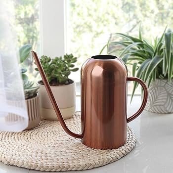 ステンレス製じょうろ 中型 GBj3bKsgSCOD._UX300_TTW__.jpg